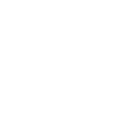 Resilient Economy